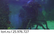 Decorative underwater bathyscaphe decoration of marine aquarium stock footage video. Стоковое видео, видеограф Юлия Машкова / Фотобанк Лори