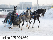 January 20 - 2013, Russia Troyka -three horses racing - winter President Cup of Russia in Moscow. Редакционное фото, фотограф Александр Новиков / Фотобанк Лори