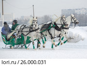 January 20 - 2013, Russia Troyka -three horses racing - winter President Cup of Russia in Moscow. Редакционное фото, фотограф Александр Новиков / Фотобанк Лори