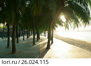Morning tourist embankment with palm trees along beach at Dadonghai Bay on Hainan Island, China. Стоковое фото, фотограф Юлия Машкова / Фотобанк Лори