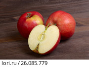 Red apples. Стоковое фото, фотограф Татьяна Карасева / Фотобанк Лори