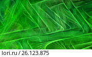 Green abstract fractal background. Стоковая иллюстрация, иллюстратор Михаил Яковлев (ktynzq) / Фотобанк Лори
