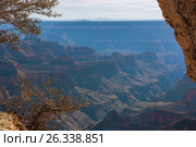 Incredible Landscape of Grand Canyon from the orth rim (2016 год). Стоковое фото, фотограф Дмитрий Петраков / Фотобанк Лори