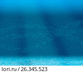 Underwater scene. Стоковое фото, фотограф Никита Буйда / Фотобанк Лори