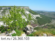 Крым. Гора Беш-Кош в окрестностях Бахчисарая. Стоковое фото, фотограф Овчинникова Ирина / Фотобанк Лори