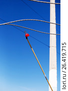 Electric equipment of power transformer substation (2017 год). Редакционное фото, фотограф Владимир Арсентьев / Фотобанк Лори
