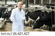 Portrait of male veterinary caring cows. Стоковое фото, фотограф Яков Филимонов / Фотобанк Лори