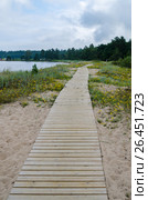 Wooden path along the sandy shore of the Baltic Sea. Стоковое фото, фотограф Игорь Соколов / Фотобанк Лори