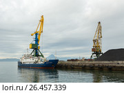 Full-swing portal crane with articulated boom and passenger cargo vessel Vasily Zavoiko (2016 год). Редакционное фото, фотограф Юлия Машкова / Фотобанк Лори