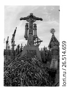 Гора крестов в Литве. Стоковое фото, фотограф Борис Кавашкин / Фотобанк Лори