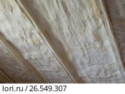Polyurea Spraying, warming foam coating of roof. Стоковое фото, фотограф Сергей Дорошенко / Фотобанк Лори