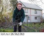 Пожилая женщина собирает с земли обрезанные ветки дерева. Стоковое фото, фотограф Вячеслав Палес / Фотобанк Лори