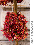 Paprika pepper in bunchs. Стоковое фото, фотограф Андрей Маслаков / Фотобанк Лори