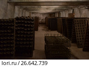 Винные погреба завода Абрау-Дюрсо (2017 год). Стоковое фото, фотограф Дарья Егорова / Фотобанк Лори