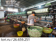Reeling or unwinding the silk filaments from silkworm cocoons (2017 год). Стоковое фото, фотограф Александр Подшивалов / Фотобанк Лори