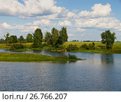 Облака и деревья на берегу озера. Стоковое фото, фотограф Игорь Камаев / Фотобанк Лори