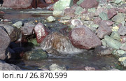 Река Их Сайр в урочище Цагдуулт в Монголии / Rapids and stones of small mountain river Ih Sair in natural boundary Tsagduult, Mongolia (2017 год). Стоковое видео, видеограф Сергей Пристяжнюк (Serg Zastavkin) / Фотобанк Лори