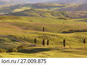 Tuscany sunset hill landscape (2017 год). Стоковое фото, фотограф Михаил Коханчиков / Фотобанк Лори