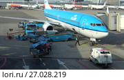 Погрузка багажа в пассажирский самолет авиакомпании KLM в аэропорту Схипхол. Амстердам (2017 год). Редакционное видео, видеограф Виктор Карасев / Фотобанк Лори