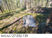 Обломки разбившегося самолета. Стоковое фото, фотограф Яковлев Сергей / Фотобанк Лори