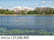 Берег Ижорского водохранилища. Парк и пляж. Колпино. Санкт-Петербург (2017 год). Стоковое фото, фотограф Румянцева Наталия / Фотобанк Лори