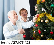 Elderly couple decorate firtree. Стоковое фото, фотограф Яков Филимонов / Фотобанк Лори