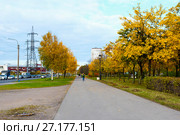Улица Передовиков. Санкт-Петербург (2017 год). Редакционное фото, фотограф Александр Щепин / Фотобанк Лори