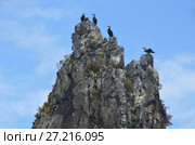 Кекуры Бакланьи в архипелаге Римского-Корсакова в Японском море. Дальний восток, Россия. Стоковое фото, фотограф Овчинникова Ирина / Фотобанк Лори