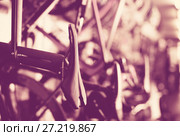 Bicycle saddles in shop. Стоковое фото, фотограф Яков Филимонов / Фотобанк Лори