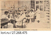 Лаборатория противогазов в Париже. Иллюстрация из журнала "Природа и люди" 1915 года. Стоковая иллюстрация, иллюстратор Макаров Алексей / Фотобанк Лори