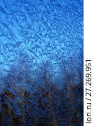 Frosty natural pattern at a winter. Стоковое фото, фотограф ElenArt / Фотобанк Лори