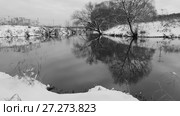 Деревья на заснеженном берегу реки с отражением в воде. Стоковое видео, видеограф Яна Королёва / Фотобанк Лори