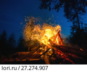 Bright fire on a dark night in a forest glade. Стоковое фото, фотограф Алексей Маринченко / Фотобанк Лори