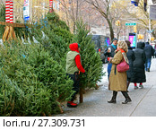Елочнвй базар на Fifth Avenue в Манхеттене перед Рождеством, Нью-Йорк, США (2017 год). Редакционное фото, фотограф Валерия Попова / Фотобанк Лори