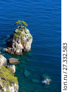 Rocky slet with tree, Gargano, Puglia, Italy (2017 год). Стоковое фото, фотограф Юрий Брыкайло / Фотобанк Лори