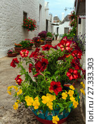 Beautiful flowers in Alberobello, Italy (2017 год). Стоковое фото, фотограф Юрий Брыкайло / Фотобанк Лори