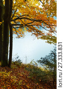 Lake Synevyr autumn view. Стоковое фото, фотограф Юрий Брыкайло / Фотобанк Лори