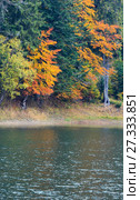 Lake Synevyr autumn view. Стоковое фото, фотограф Юрий Брыкайло / Фотобанк Лори