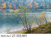 Lake Synevyr autumn view. Стоковое фото, фотограф Юрий Брыкайло / Фотобанк Лори