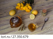Useful herbal tea with a plant (Sideritis scardica) or Greek mountain tea with lemon in a cup and yellow chrysanthemums on a wooden table  close-up. Стоковое фото, фотограф Татьяна Ляпи / Фотобанк Лори