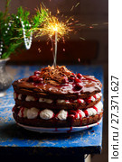 Chocolate cherry cake Bengal light. Стоковое фото, фотограф Зоряна Ивченко / Фотобанк Лори