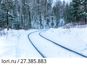 Turn of single-track railway. Стоковое фото, фотограф Евгений Ткачёв / Фотобанк Лори