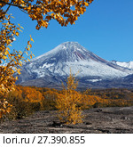 Камчатская осень. Стоковое фото, фотограф А. А. Пирагис / Фотобанк Лори