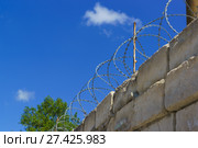 Спираль Бруно — противопехотное заграждение в виде цилиндрической спирали - для усиления забора. Стоковое фото, фотограф Наталья Гармашева / Фотобанк Лори