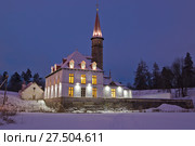 Гатчина. Ночной зимний вид на Приоратский замок (2014 год). Редакционное фото, фотограф Литвяк Игорь / Фотобанк Лори