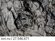 Frozen currents of volcanic lava. Стоковое фото, фотограф Konstantin Shabalin / Фотобанк Лори