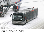 Cobus 2700 Blackline Edition (2018 год). Редакционное фото, фотограф Art Konovalov / Фотобанк Лори