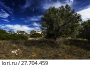 portugal algarve 20102015 nature travel. Стоковое фото, фотограф Peter Engelke / PantherMedia / Фотобанк Лори