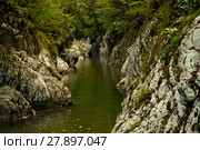 A narrow canyon of a small river, cutting a rocky base in a mountain forest. Стоковое фото, фотограф Евгений Харитонов / Фотобанк Лори