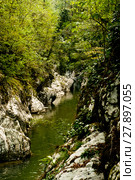 A narrow canyon of a small river, cutting a rocky base in a mountain forest. Стоковое фото, фотограф Евгений Харитонов / Фотобанк Лори